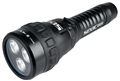 Seac R40 LED Dive Light
