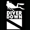 8in Diver Down Dive Flag Die-Cut Window Decal