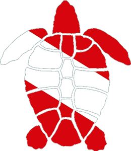 Innovative Turtle Dive Flag Die Cut Bumper Sticker