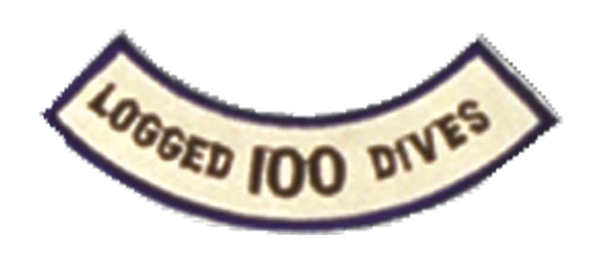 Logged 100 Dives Patch