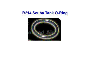 Trident Regular Black Tank Neck O-Ring