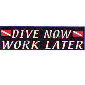 Trident &#39;Dive Now Work Later&#39; Bumper Sticker