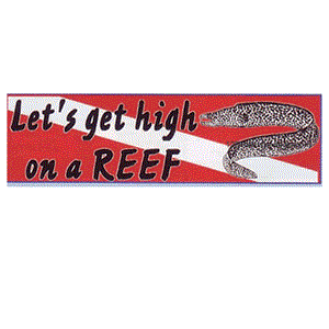 Trident Let&#39;s Get High On a REEF Bumper Sticker