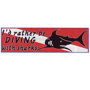 Trident I&#39;d Rather Be Diving With Sharks Bumper Sticker