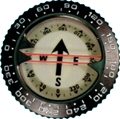 Trident Oceanic Style Compass Module