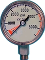 Trident Submersible Pressure Gauge