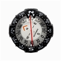 Oceanic Maxview Compass Module