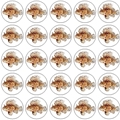 Lionfish 25Pc Sticker Sheet