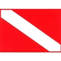 Trident Large 8.5-in. x 11-in. Dive Flag Sticker