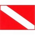 Trident Small 2.5-in. x 3.5-in. Dive Flag Sticker