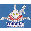 Trident Dive Team Shark Sticker