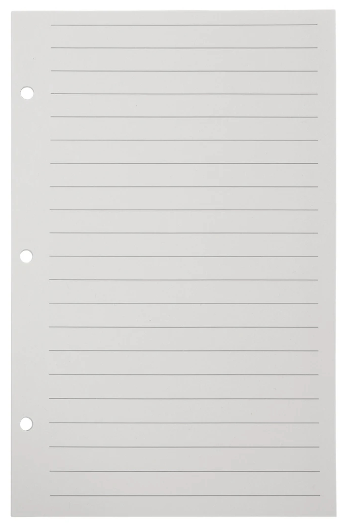 3 Ring Note Refill Pages