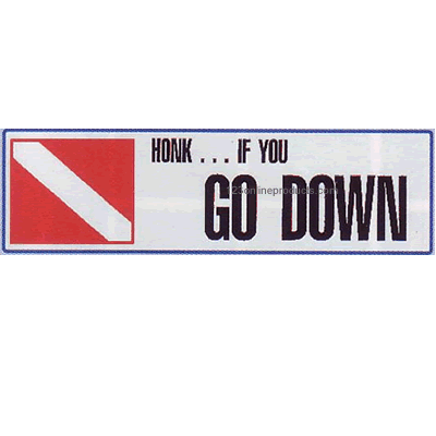 Trident Honk...If You Go Down Bumper Sticker