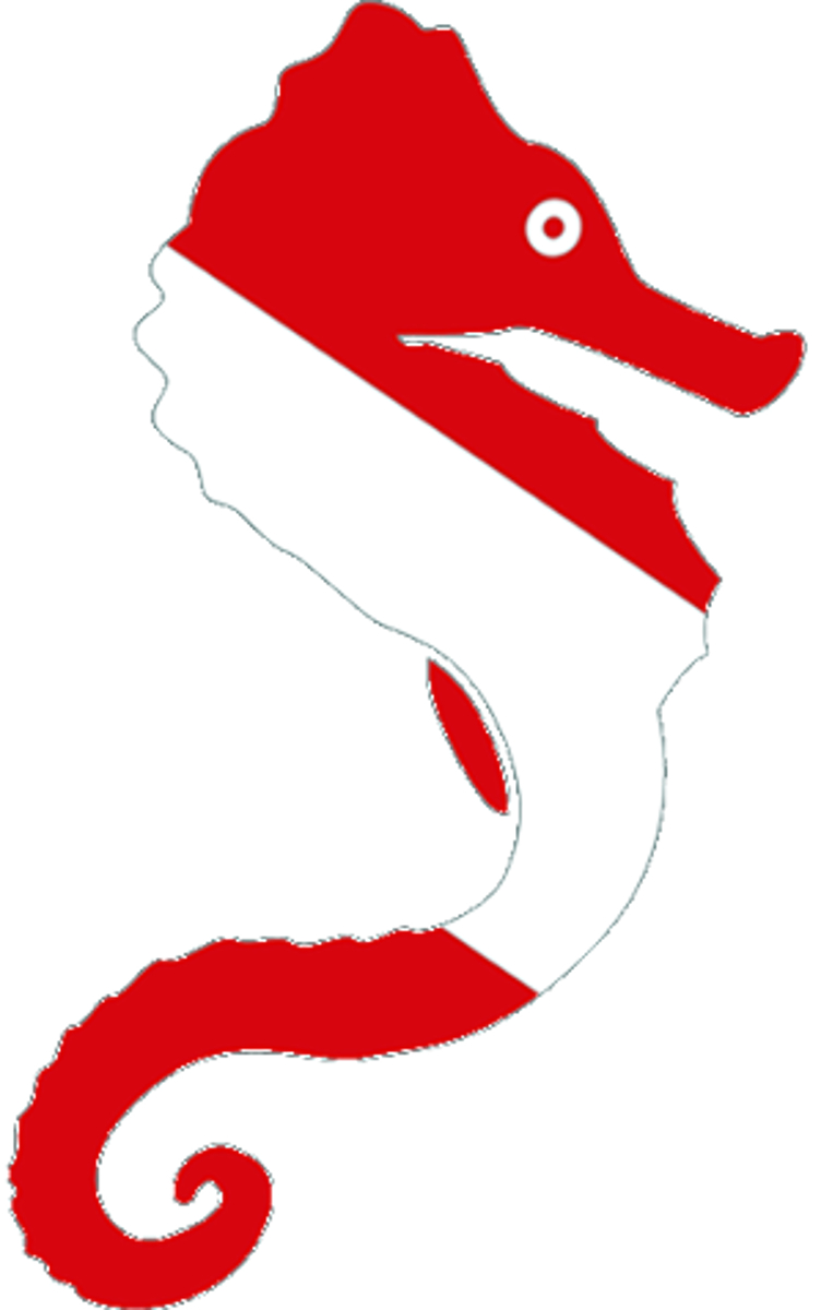 Sea Horse Dive Flag Scuba Diving Die Cut Bumper Sticker