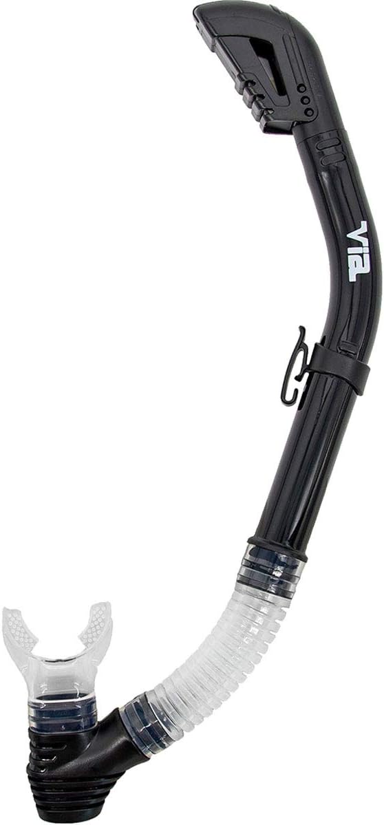 Genesis Via Dry Snorkel