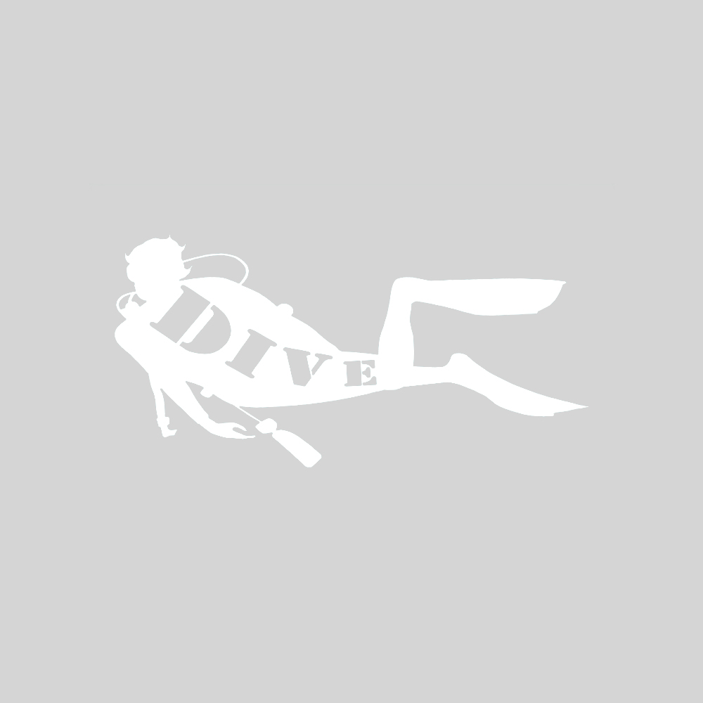 Diver 8 Ich Die Cut Decal