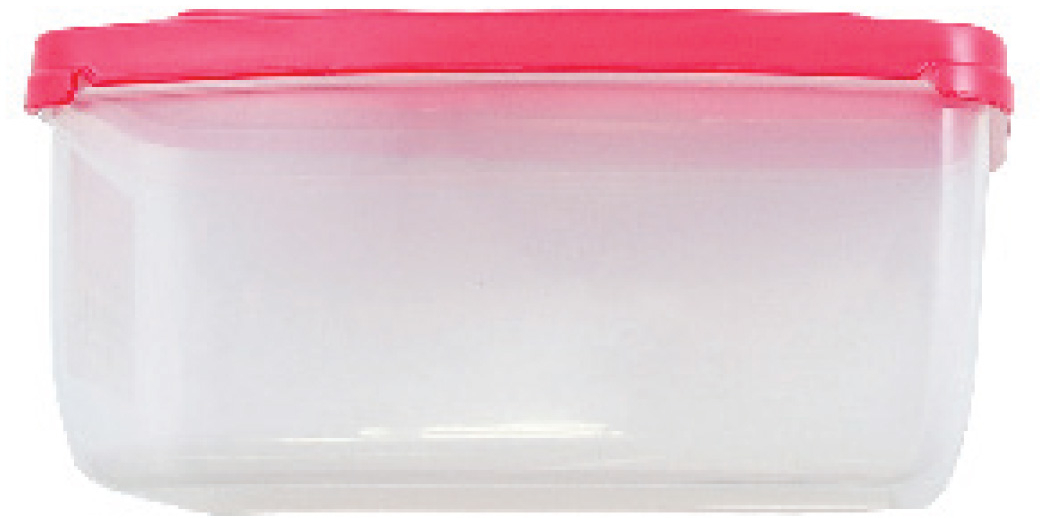 XS Scuba Mask Storage Box